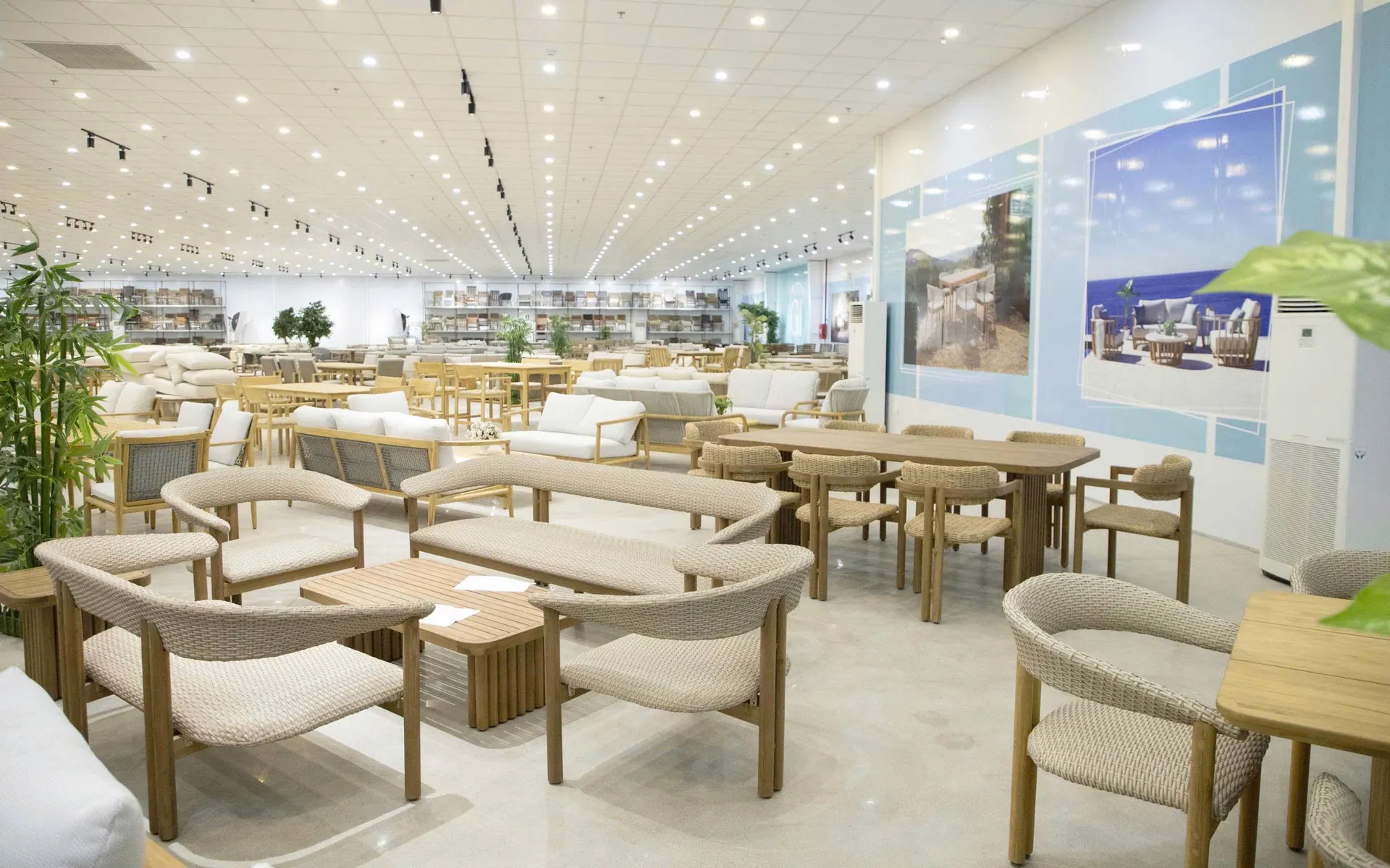 Vietnam showroom interior, full development range